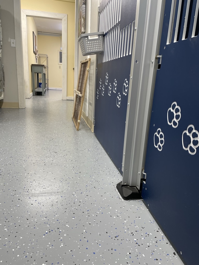 Clean and comfortable boarding facility hallway at Carden Kennels